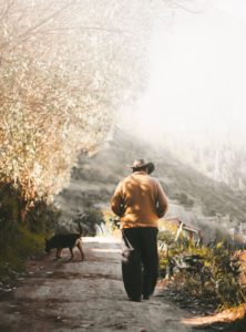 hans-luiggi-1054182-unsplash